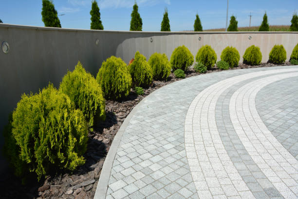 Best Driveway Repair Near Me  in Munfordville, KY